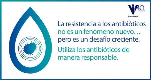 La resistencia no es un fenmeno nuevo