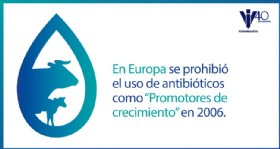Infografia antibioticos 3