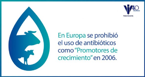 Prohibicin promotores de crecimiento