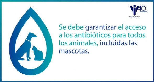 Las mascotas tambin pueden enfermar
