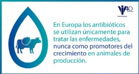 Infografia antibioticos 148
