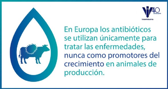 Utilizacin de antibiticos en pienso