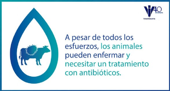 Los animales pueden enfermar y requerir tratamiento