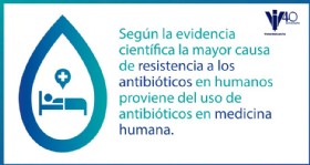 Infografia antibioticos 22236