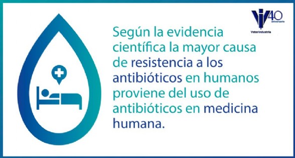 Resistencias en humana
