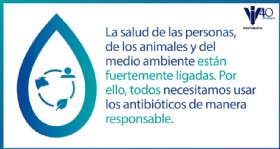 Infografia antibioticos 34