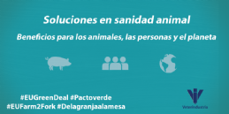 Infografía Soluciones Sanidad Animal