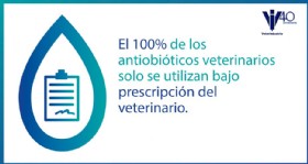 Infografia antibioticos ultima