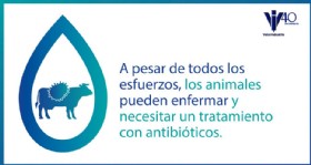 Infografia antibioticos 210