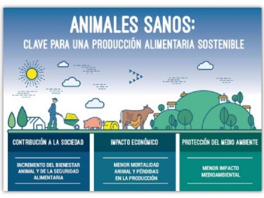 Animales Sanos: Clave para un producción alimentaria sostenible