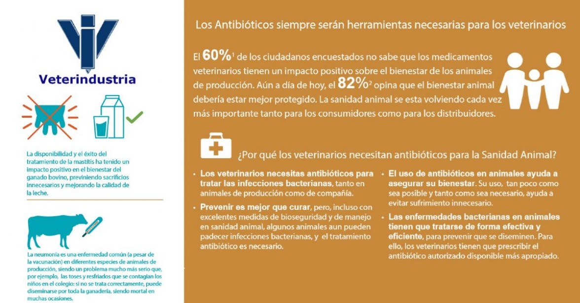 Los antibióticos herramientas para veterinarios